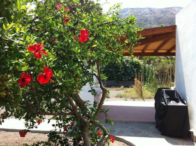 Villa By The Vulcano - 70Mq Plus Large Garden And Patio Exterior photo